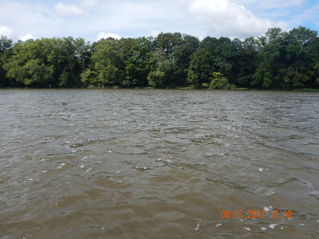 DSCN2289 (1).jpg -                Can hardly see the bank the water was so high.  Off color too!  Looked like coffee.                